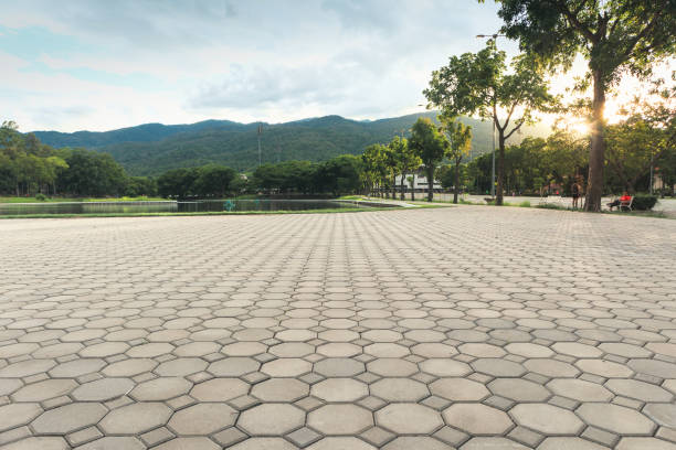 Best Decorative Driveway Pavers  in Rainbow Springs, FL
